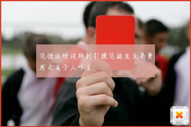 范德法特谈热刺引援范赫克交易费用之高令人咋舌